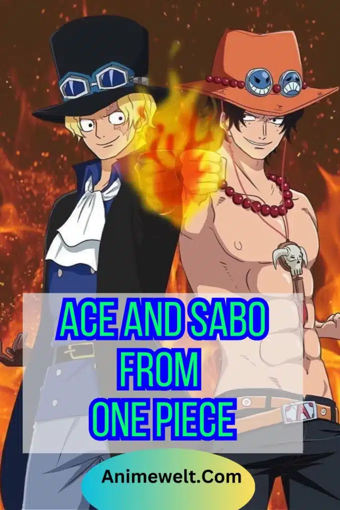 ace and sabo the users of fire fire devil fruit from one piece anime