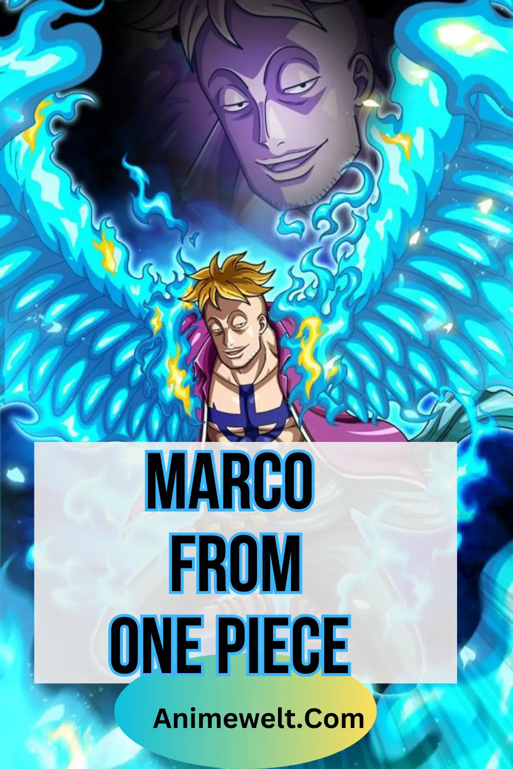 marco the pheonix from whitebeard pirates from one piece anime