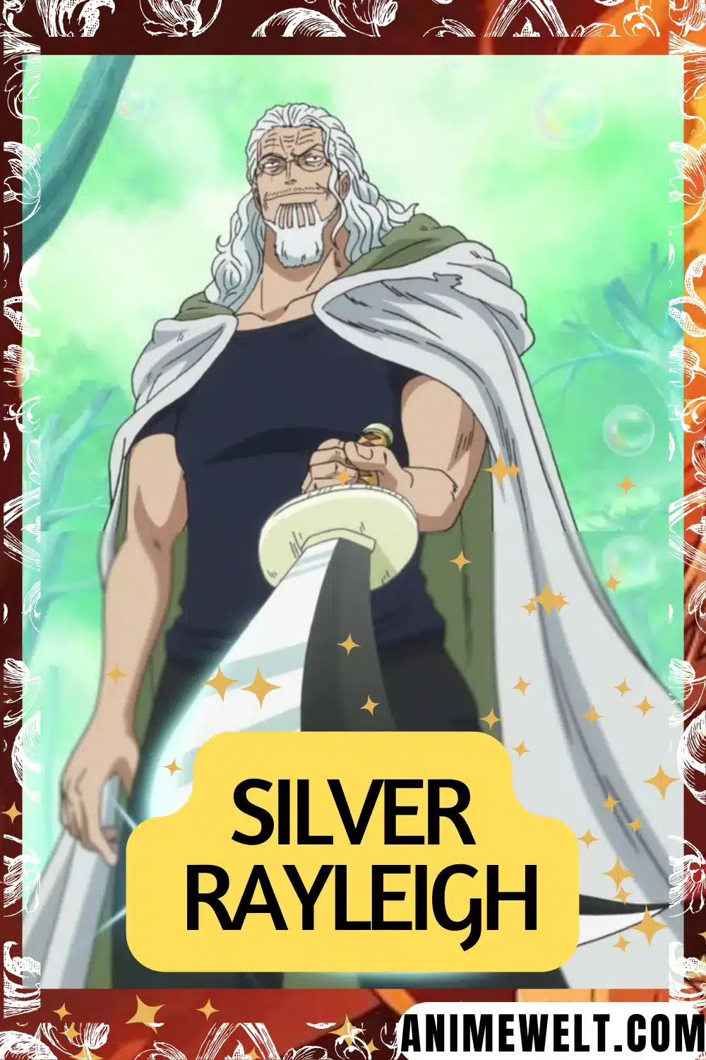 silver rayleigh the dark king from one piece anime