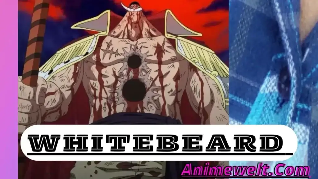 whitebeard captain of the whitebeard pirates from one piece anime
