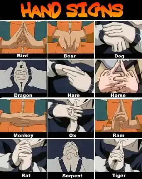 Naruto Hand Sign Seal Zodiac Animals