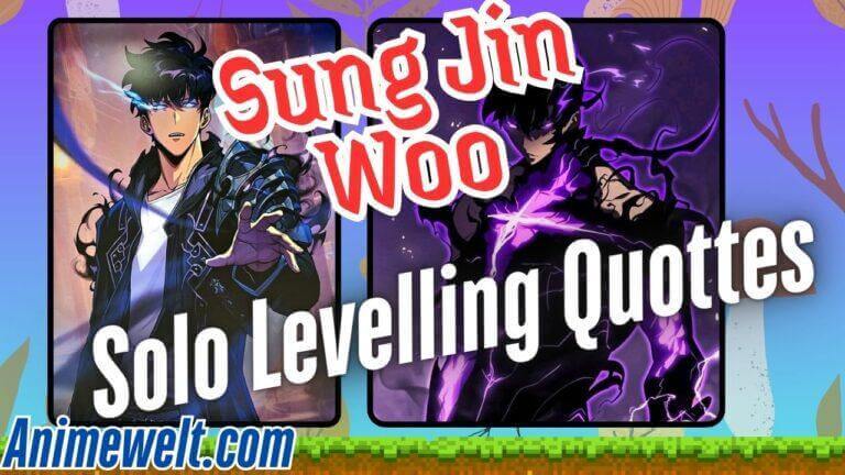 Sung Jin Woo Quotes from Solo Levelling arise anime