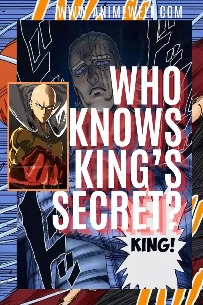 kings-true-identity-one-punch-man